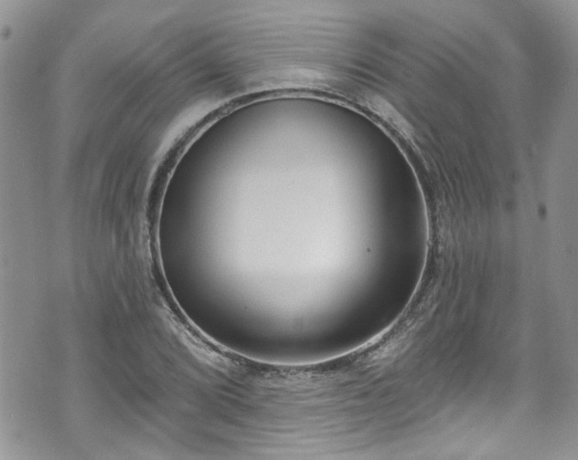 X0000070881072200606191309