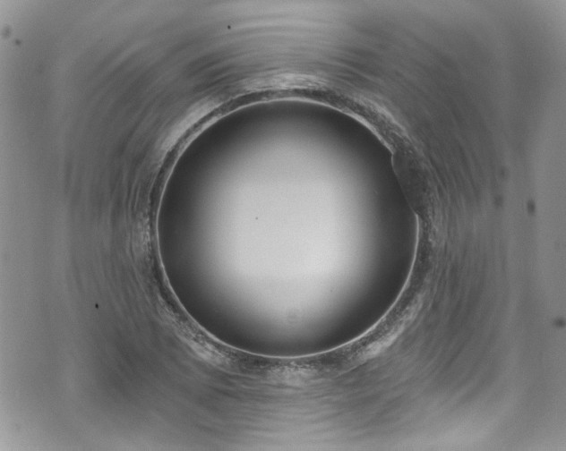 X0000070881073200606191309