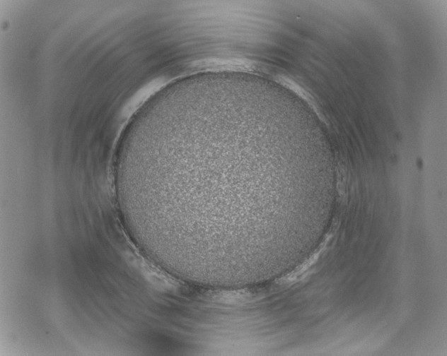 X0000070881074200606191309