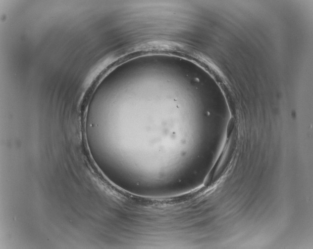 X0000070881075200606191309