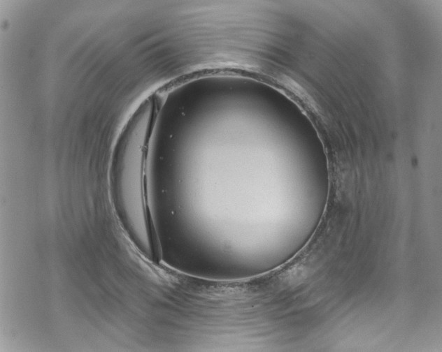 X0000070881076200606191309