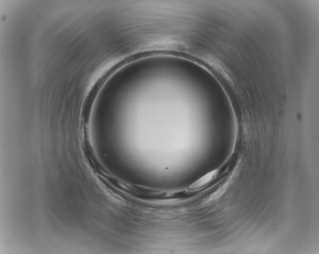 X0000070881077200606191309