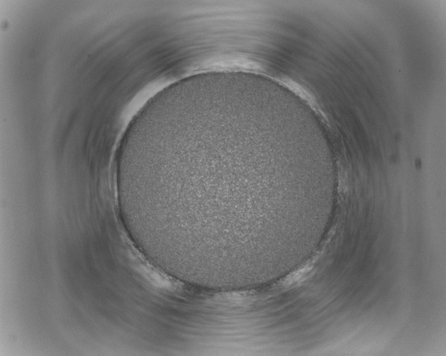 X0000070881078200606191309