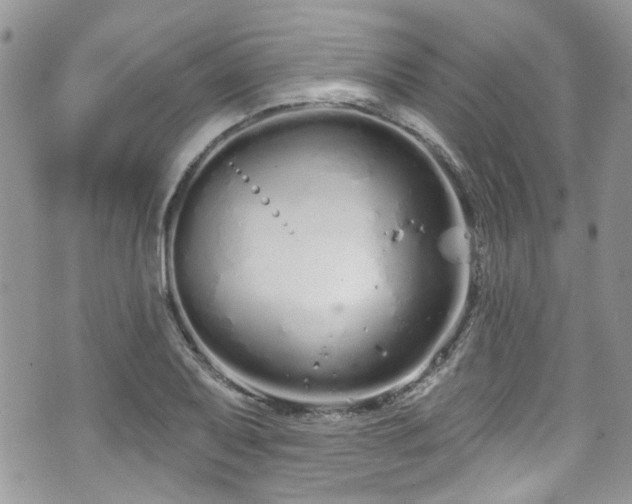 X0000070881079200606191309