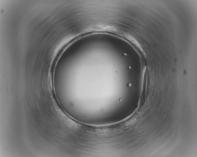 X0000070881080200606191309