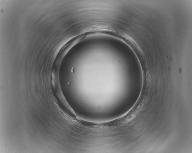 X0000070881081200606191309