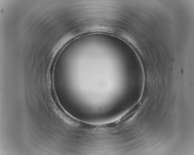 X0000070881082200606191309