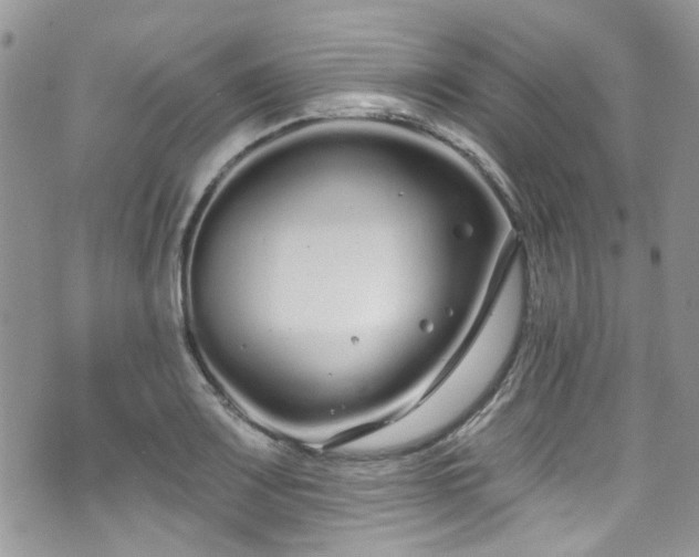 X0000070881083200606191309