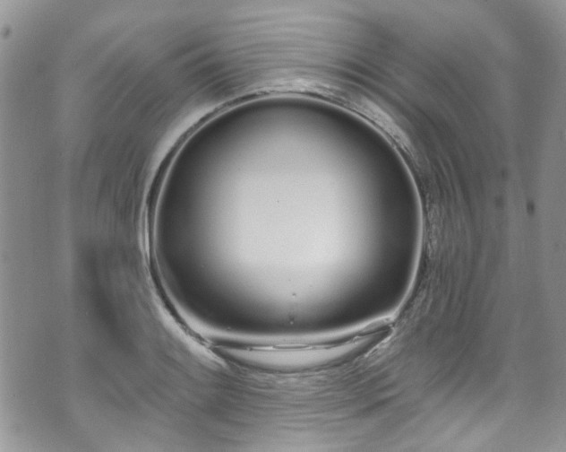 X0000070881084200606191309