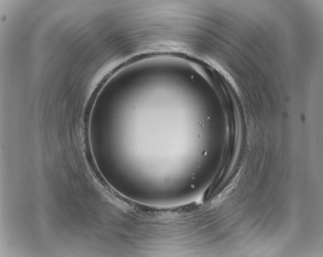 X0000070881085200606191309