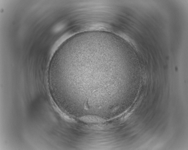 X0000070881086200606191309