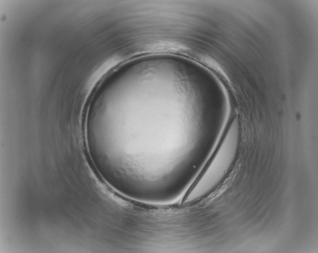 X0000070881087200606191309