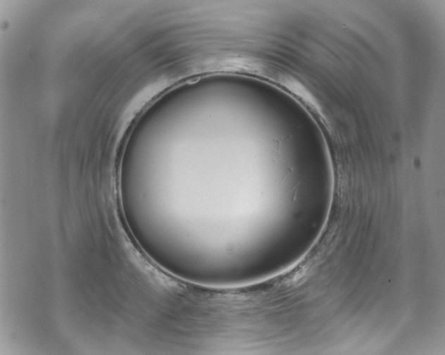 X0000070881088200606191309