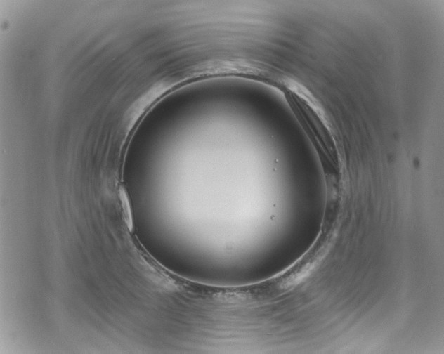 X0000070881089200606191309