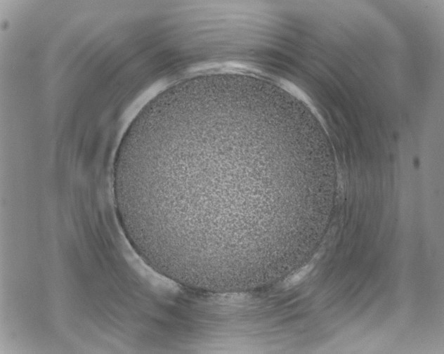 X0000070881090200606191309