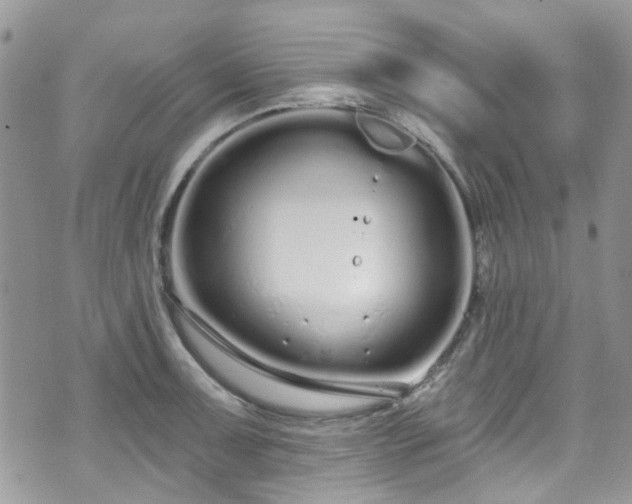 X0000070881091200606191309