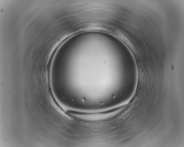 X0000070881092200606191309