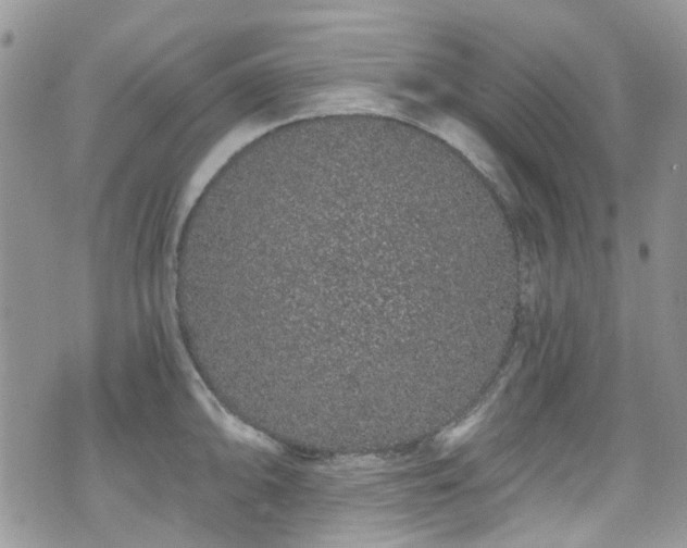 X0000070881094200606191309