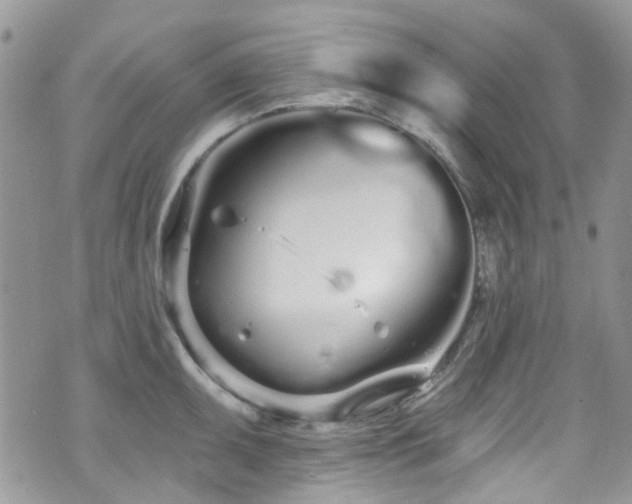 X0000070881095200606191309