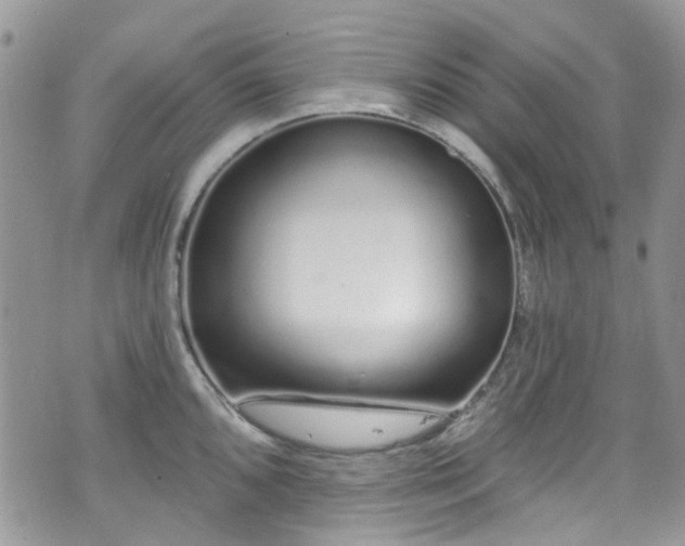 X0000070881096200606191309