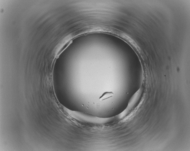 X0000070881097200606191309