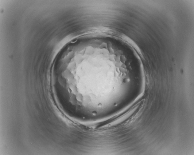 X0000070881099200606191309