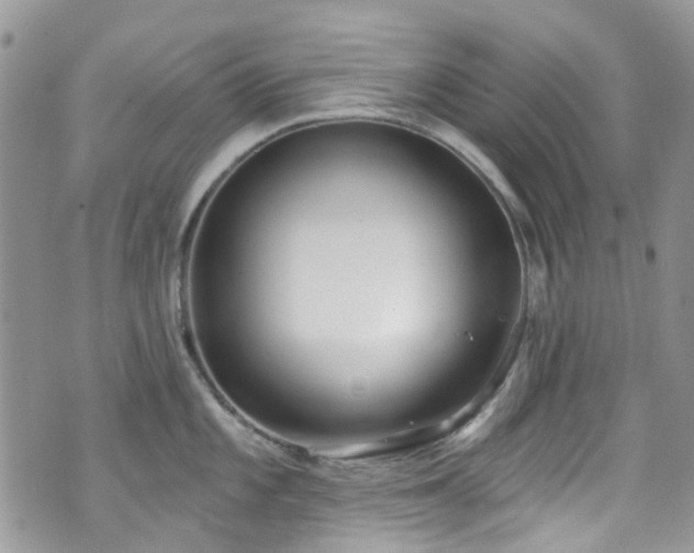 X0000070881101200606191309