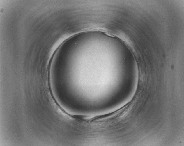 X0000070881102200606191309