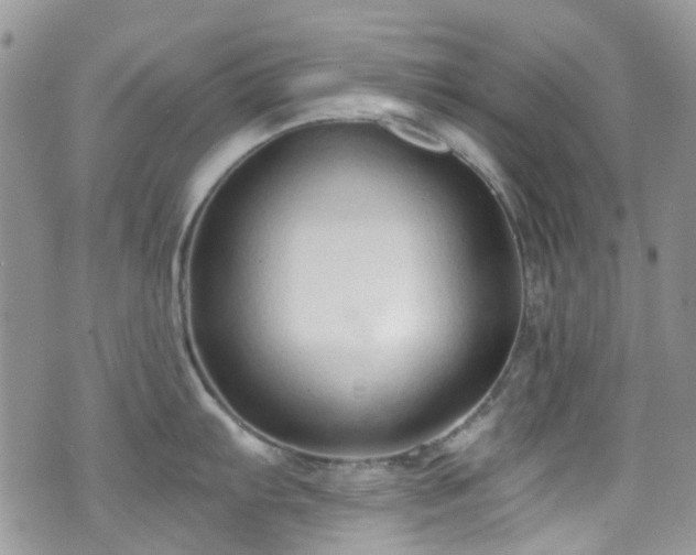 X0000070881103200606191309