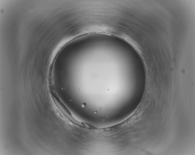 X0000070881104200606191309