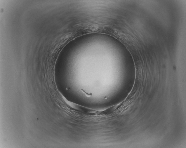 X0000070881105200606191308