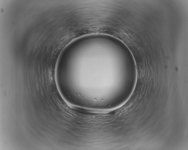 X0000070881106200606191308