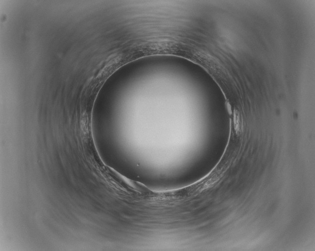 X0000070881107200606191308