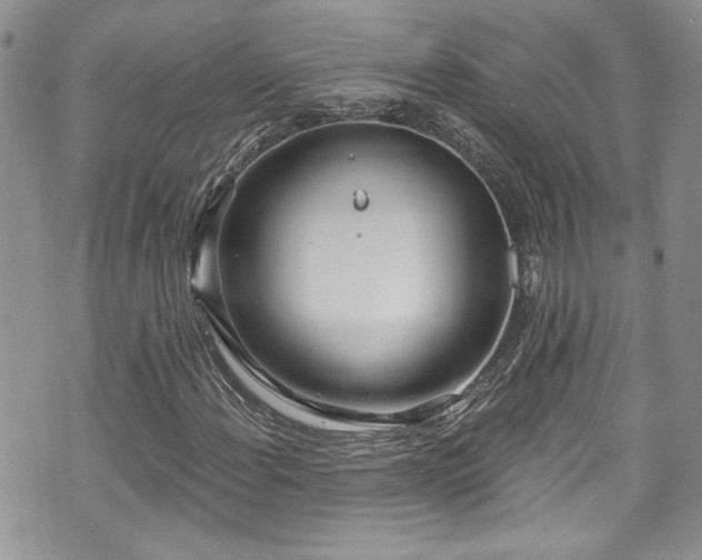 X0000070881108200606191308