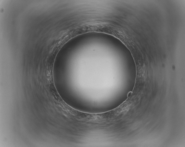 X0000070881109200606191308