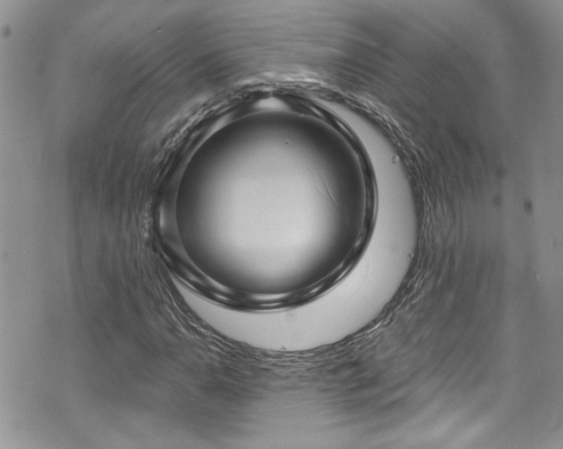 X0000070881110200606191308