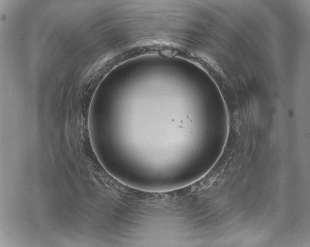 X0000070881111200606191308