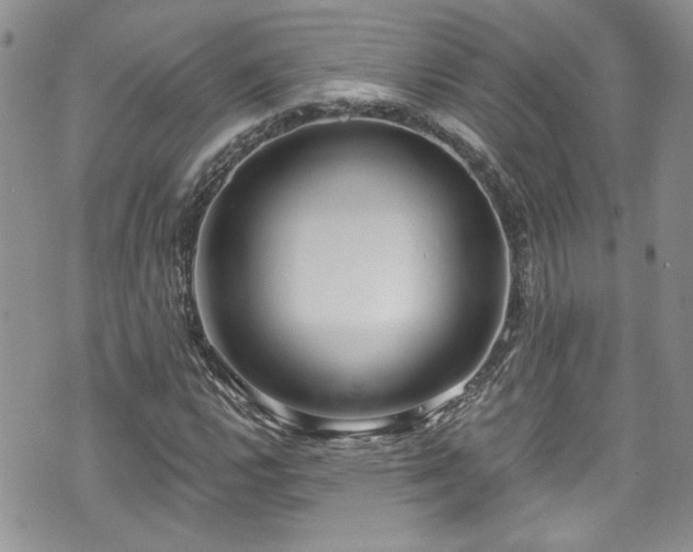 X0000070881112200606191308