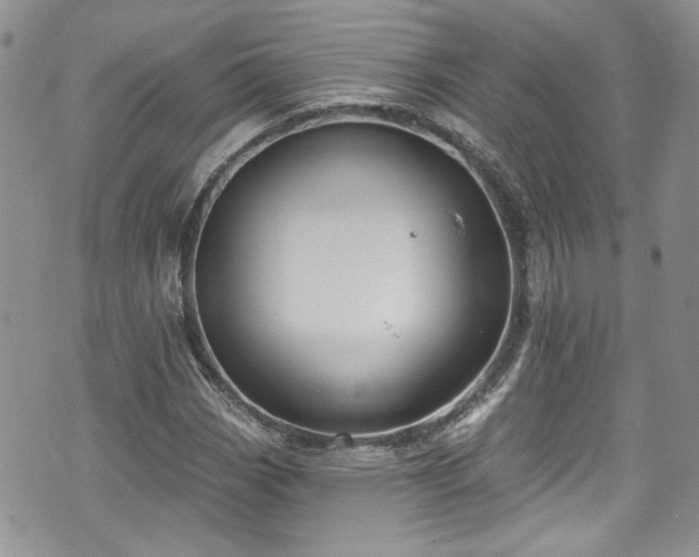 X0000070881113200606191308