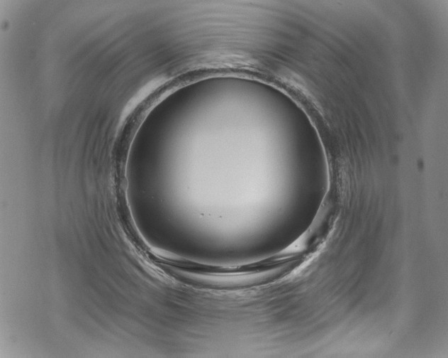 X0000070881114200606191308