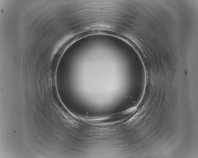 X0000070881115200606191308