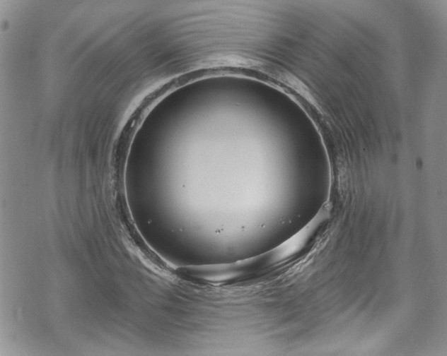 X0000070881116200606191308