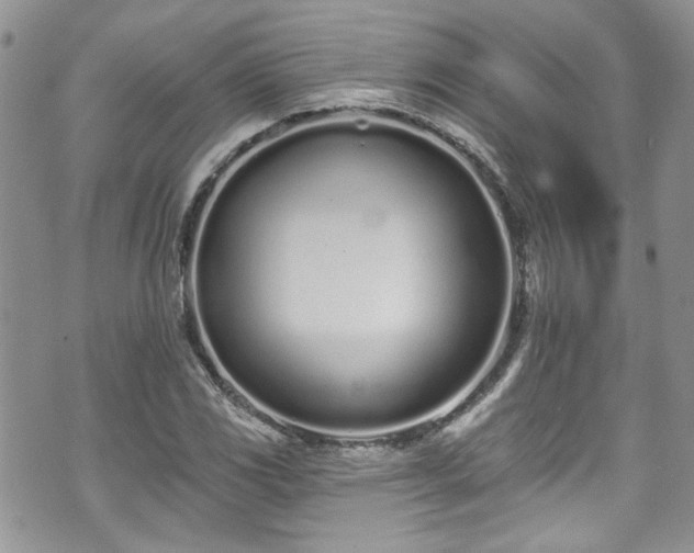 X0000070881117200606191308