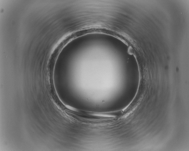 X0000070881118200606191308