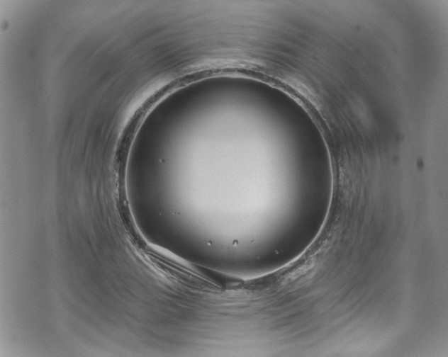 X0000070881119200606191308