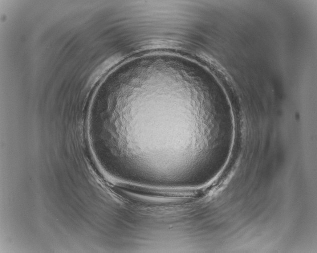 X0000070881121200606191308