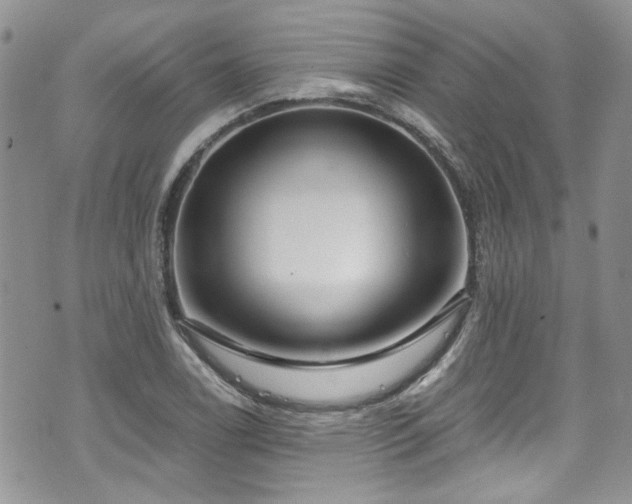 X0000070881122200606191308