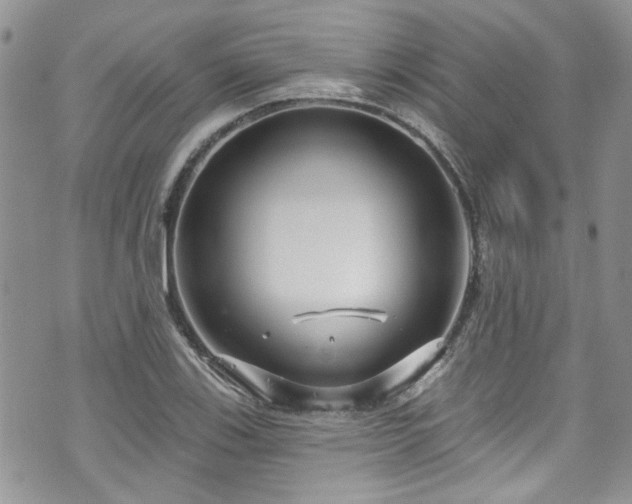 X0000070881123200606191308