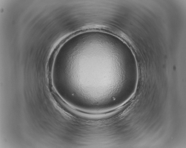 X0000070881124200606191308