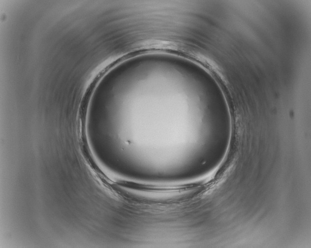 X0000070881125200606191308